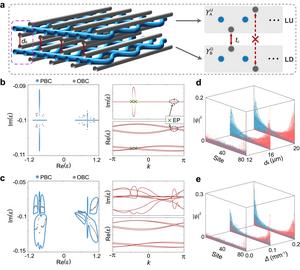 Figure 2 | EPs in a coupled system with skin modes.