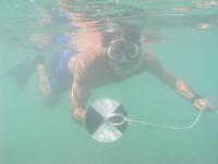 Secchi Disc to Measure Turbidity