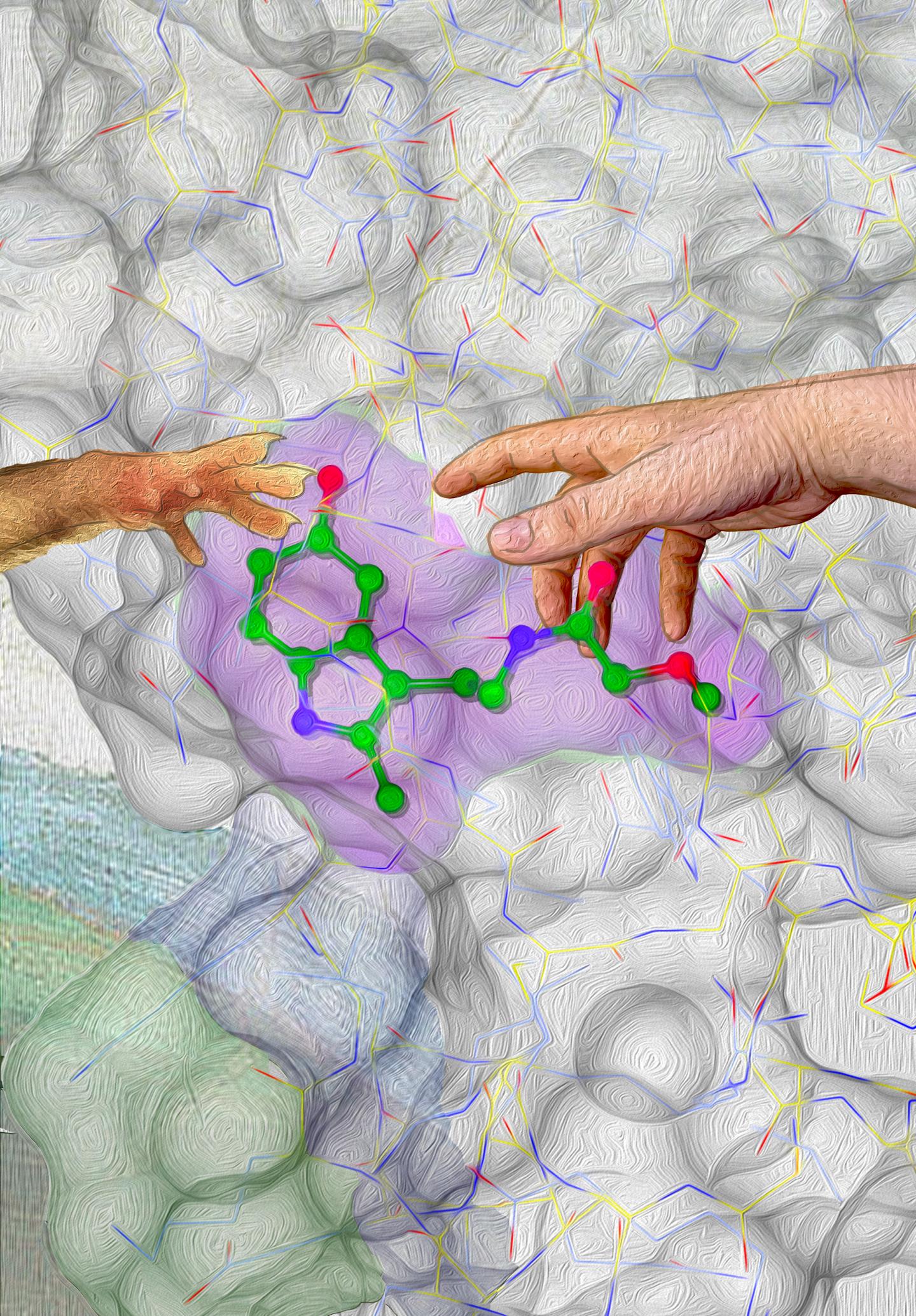 Reverse Engineering the BH4 Pathway