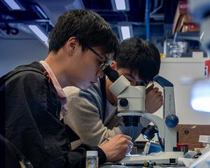 Rice physicists’ new lab focused on emergent magnetic materials, funded by Department of Energy