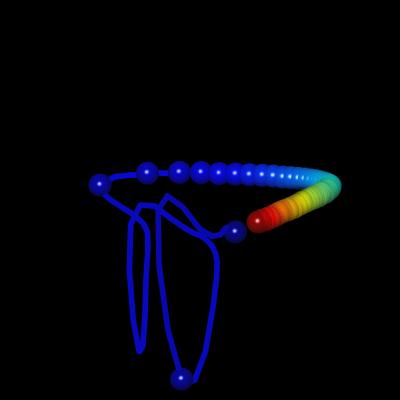 Neuron Network
