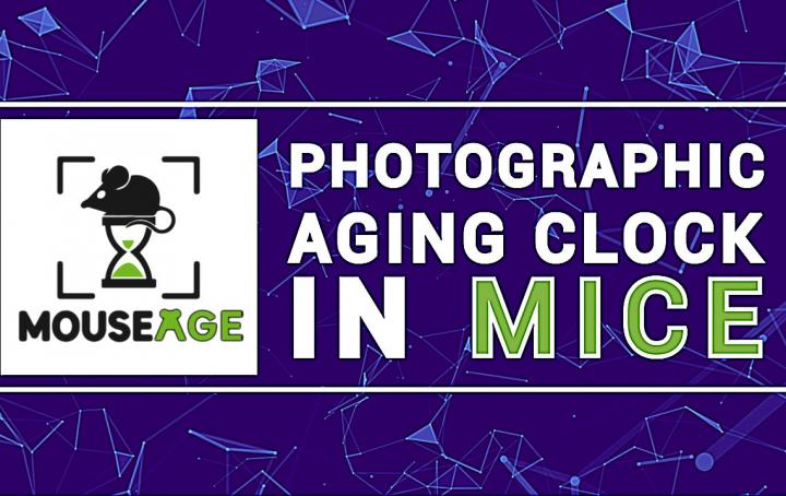 MouseAge: Photographic Aging Clock in Mice (1 of 3)