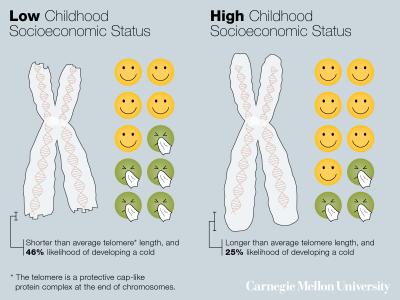 Children of Lower Socioeconomic Status Grow Up More Susceptible To Catching Colds, Carnegie Mellon Researchers Find