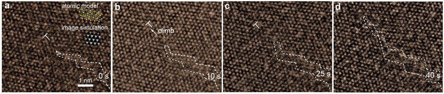 Transmission Electron Microscopy Images