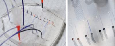Microfluidic Device