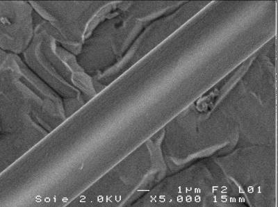 Silk Fiber