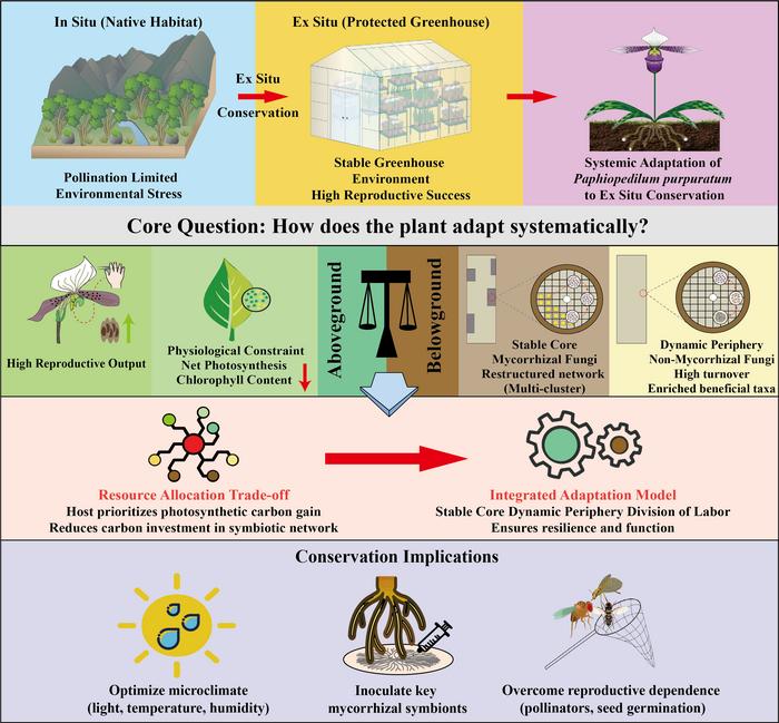 Graphical Abstract