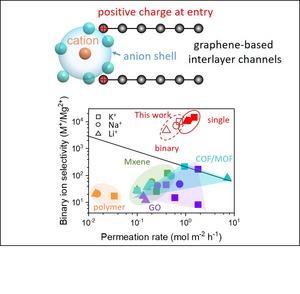 Anion shell rearrangement for selective ion transport at nanoscale confinements