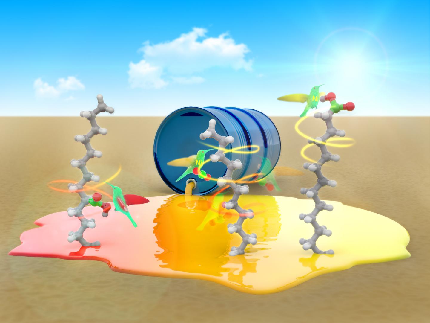 Artist's Conception of Nickel Transforming Hydrocarbons into Fatty Acids