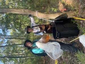 ‘Ghost forests’ could be key to understanding coastal resilience to climate change