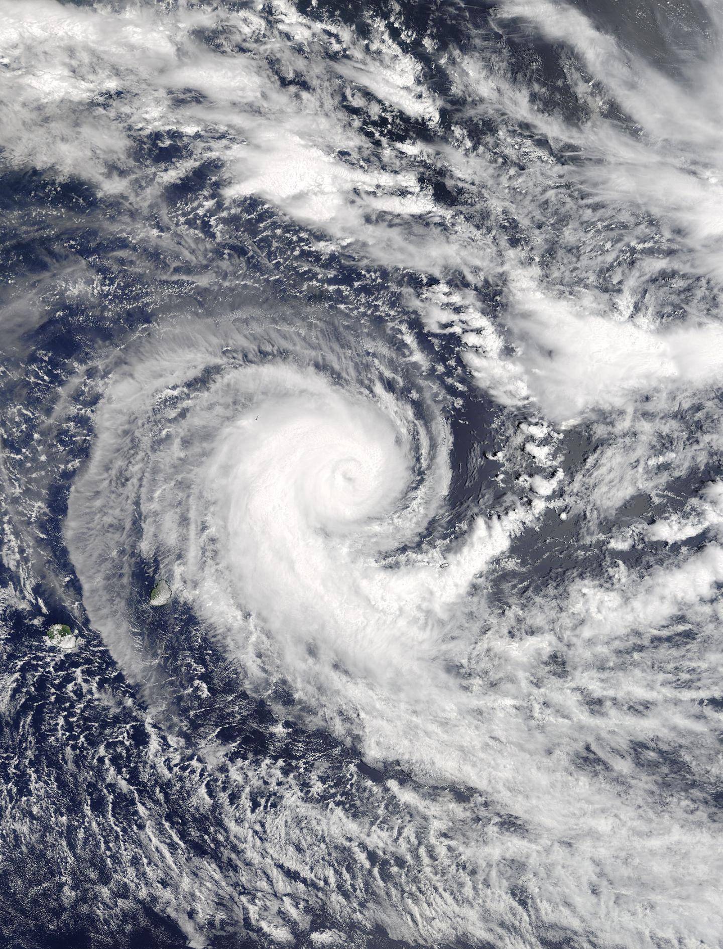 Terra Image of Berguitta