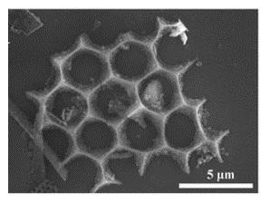 Nano-Structure