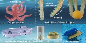 Octopus‑Inspired Self‑Adaptive Hydrogel Gripper Capable of Manipulating Ultra‑Soft Objects