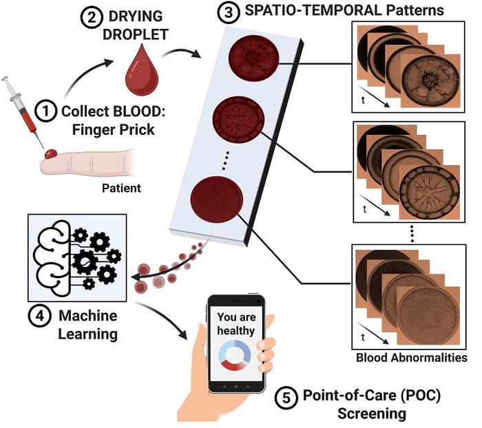Decoding drying droplets