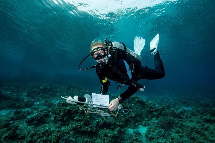 Dr. Herdís Steinsdóttir deploying an instrument near the reef in Eilat