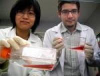 Na Xu and Thales Papagiannakopoulos, University of California - Santa Barbara