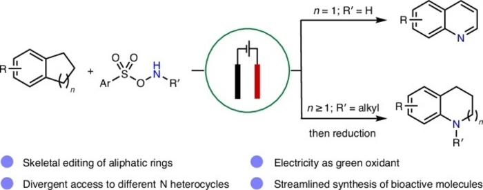 Divergent electrochemical nitrogen atom insertion into saturated carbocycles to access diverse valuable N heterocycles.