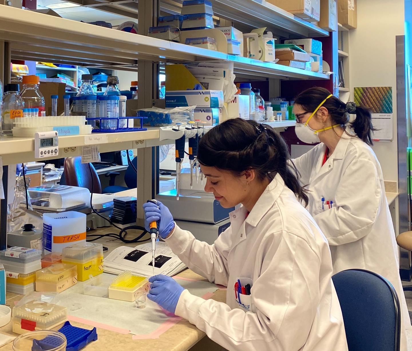 Lab Scientists at Entos Pharmaceuticals