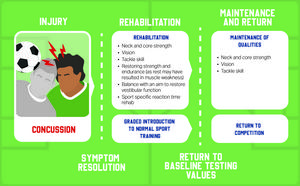 Concussion rehabilitation process