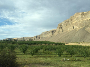 Channeled Scablands