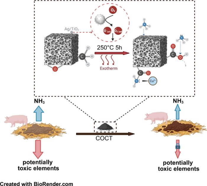 Interface-Activated Coal Tailings for Coupled Ammonia Adsorption and Potentially Toxic Metal Complexation Via Ag/TiO₂ Catalysis