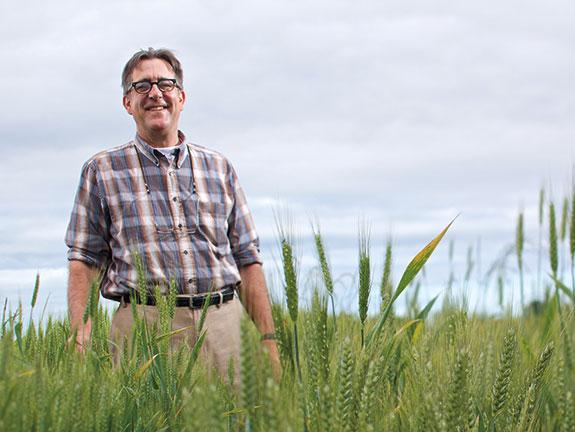 WSU Wheat Breeder Stephen Jones