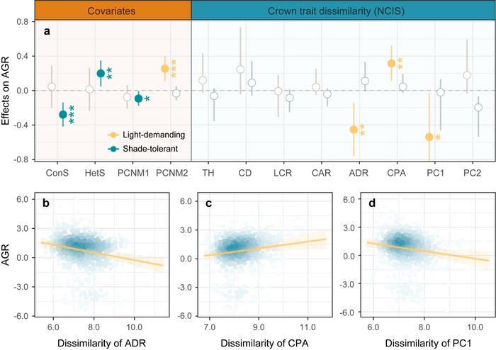 Effects of covariates and crown trait dissimilarity (neighborhood crowding index of trait dissimilarity, NCIS) on annual growth rate (AGR) from linear mixed-effects models (LMMs).