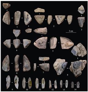 Selected microblade and microblade cores excavated from Xiqiaoshan.