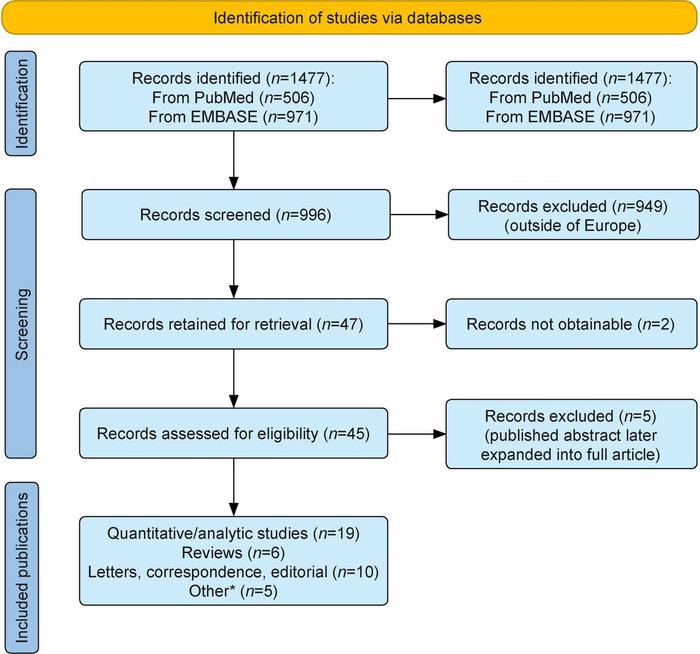 Flow diagram of the scoping review