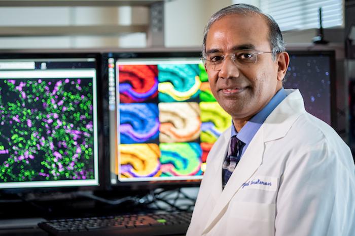 Gopal Thinakaran -- 2 -- Credit USF Health