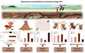 Biochar application enhances ant (Formica japonica) ecological functions as indicated by their social behaviors