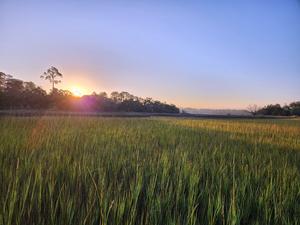 Sunrise over salt marsh