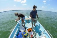 Casting the Net