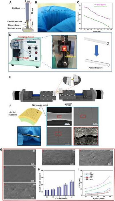 Design and fabrication of the BTHM