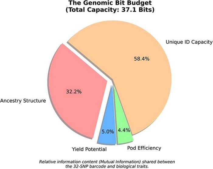 The genomic bit budget: strategic information allocation.