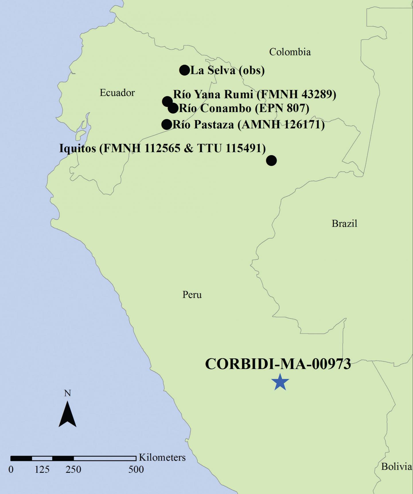 Camisea River