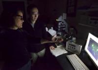 Tayhas Palmore and Kwang-Min Kim, Brown University