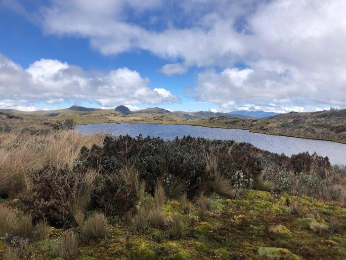Ecuador páramo pond
