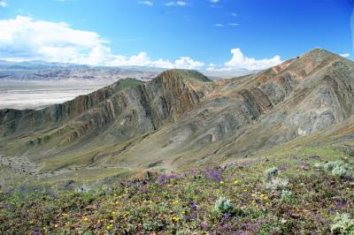 Bech Spring Dolomite