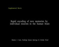 Neural Response to Images