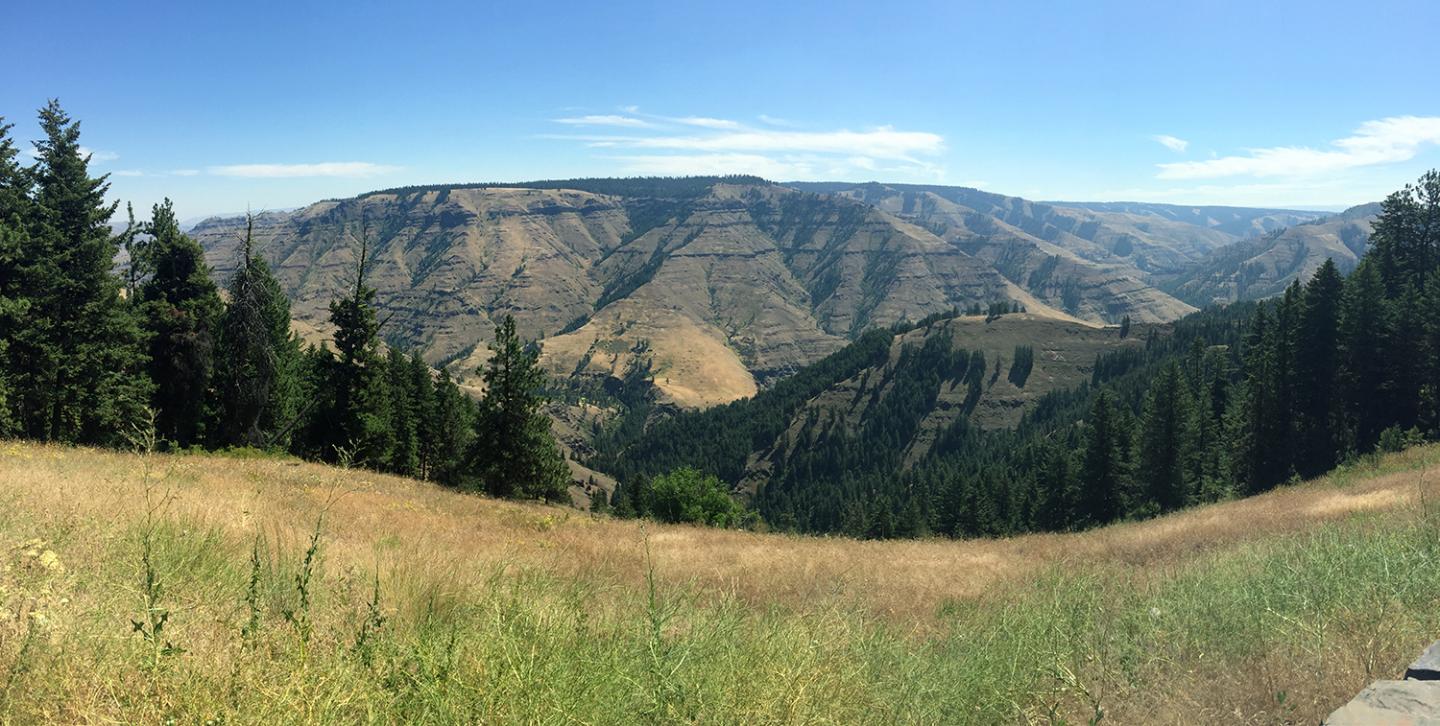 Joseph Canyon Basalts