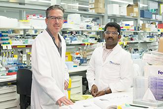 Axel Kallies and Ajith Vasanthakumar, Walter and Eliza Hall Institute
