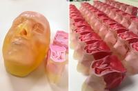 3D sinus models