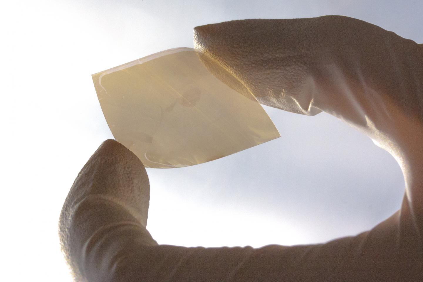 Tungsten Diselinide Thin Film
