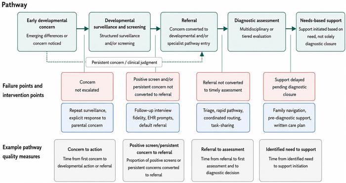 Beyond screening: closing the gaps in early autism identification