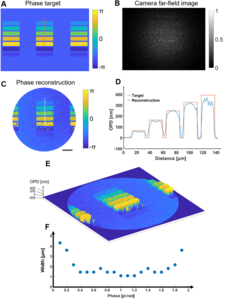 Figure 3 | Quantitative phase imaging through the microendoscope via far-field speckle reconstruction.