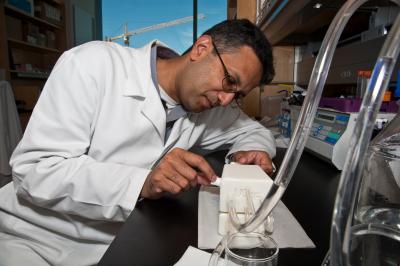 Shuvo Roy, Ph.D., University of California - San Francisco