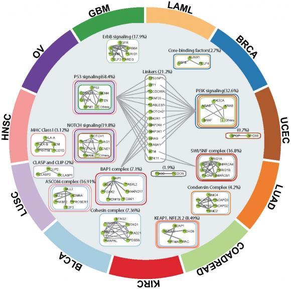 Genetic Cancer Connections