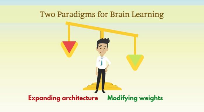 Two Paradigms for Brain Learning