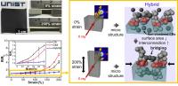 The Structural Development of the HCP Composites under Strain